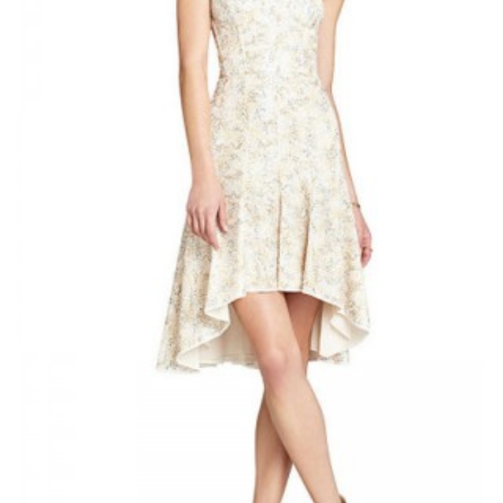 BCBG Sequins Lace Dress